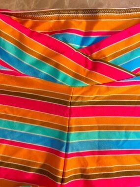 triangl swimwear Bright Orange Pink Blue Striped Athletic Shorts